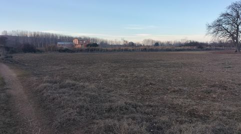 Photo 5 of Land for sale in Villamuriel de Cerrato, Villamuriel de Cerrato, Palencia