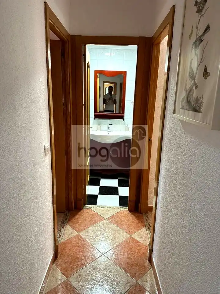 Pis de lloguer a La Oliva