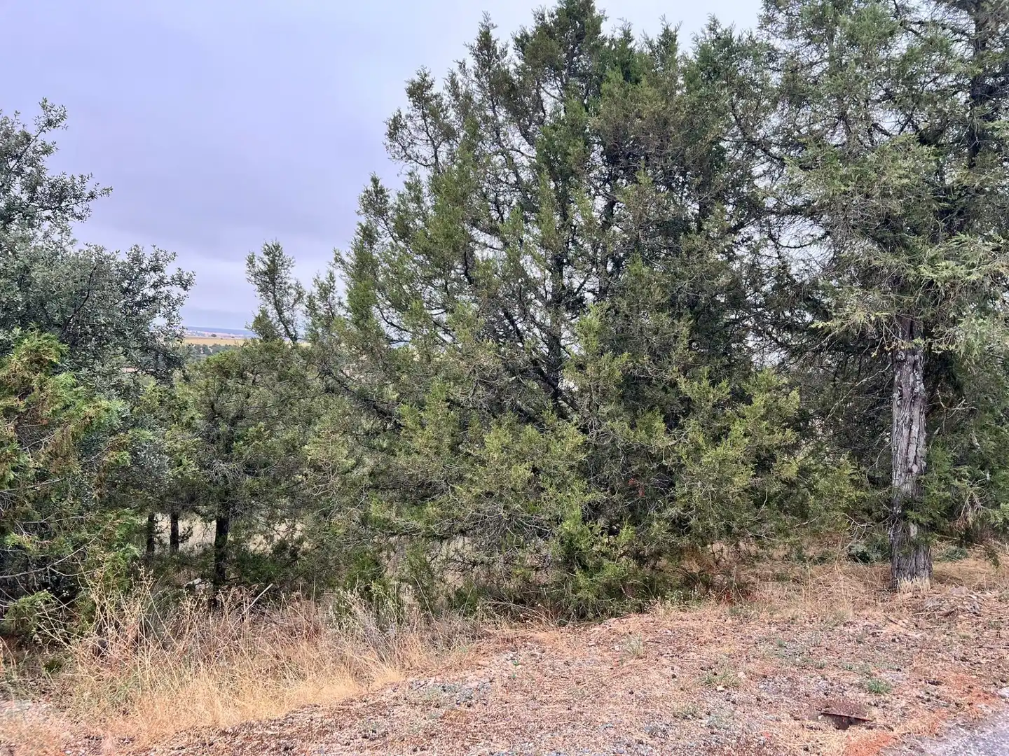Residencial en venda a Montes Cortos, Duruelo