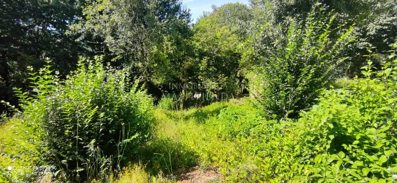 Casa con jardín en venta en Del Val, imagen 42