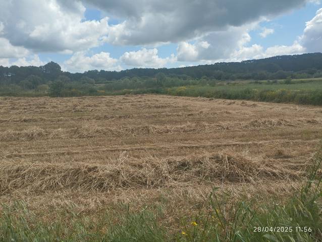 Terreno en Venta en Algaida