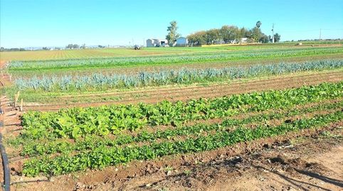 Foto 4 de Terreno en venta en Valdezorras - El Gordillo, Sevilla Capital