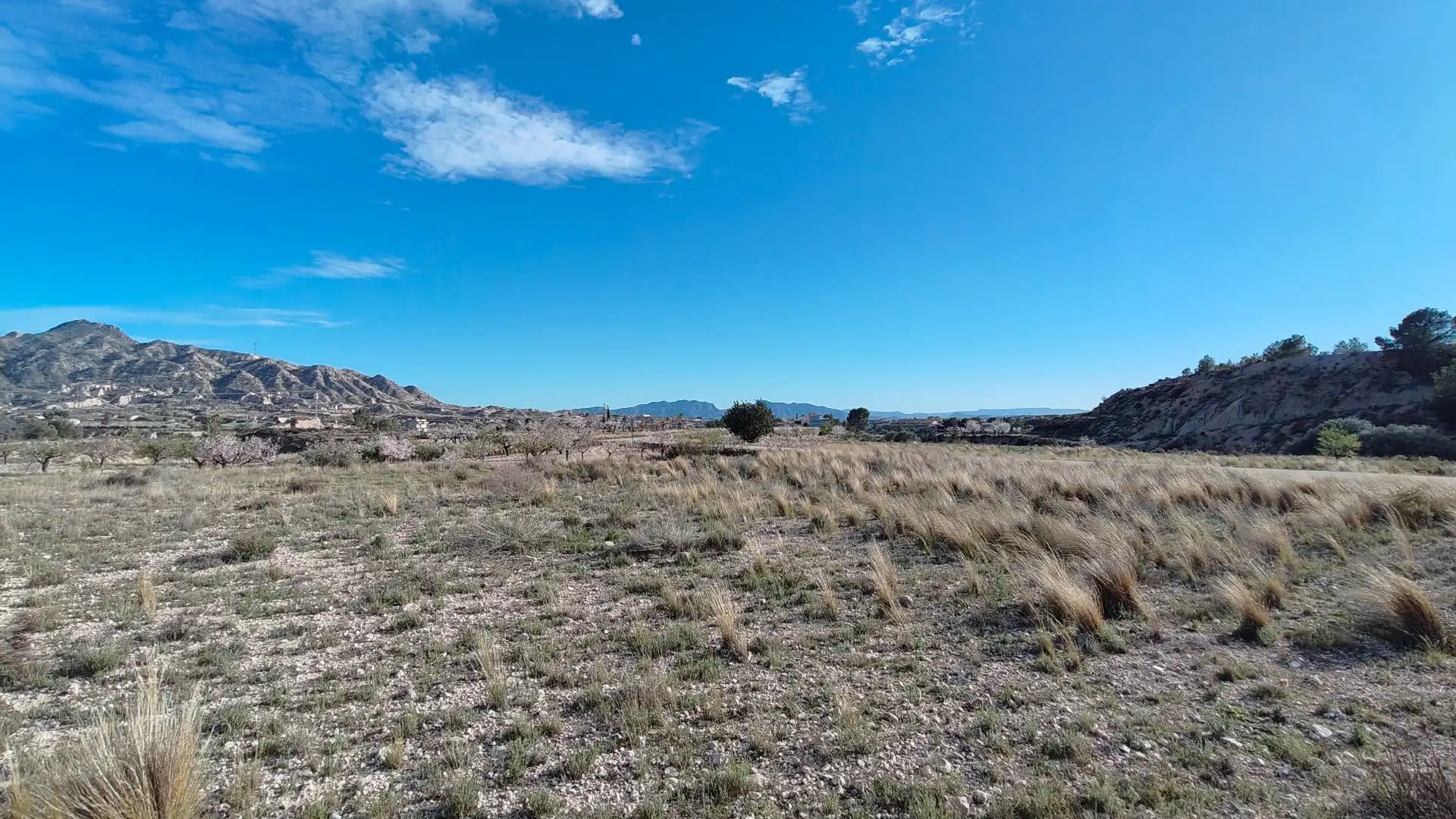 Lands and plots for sale in Abanilla, imagen 3