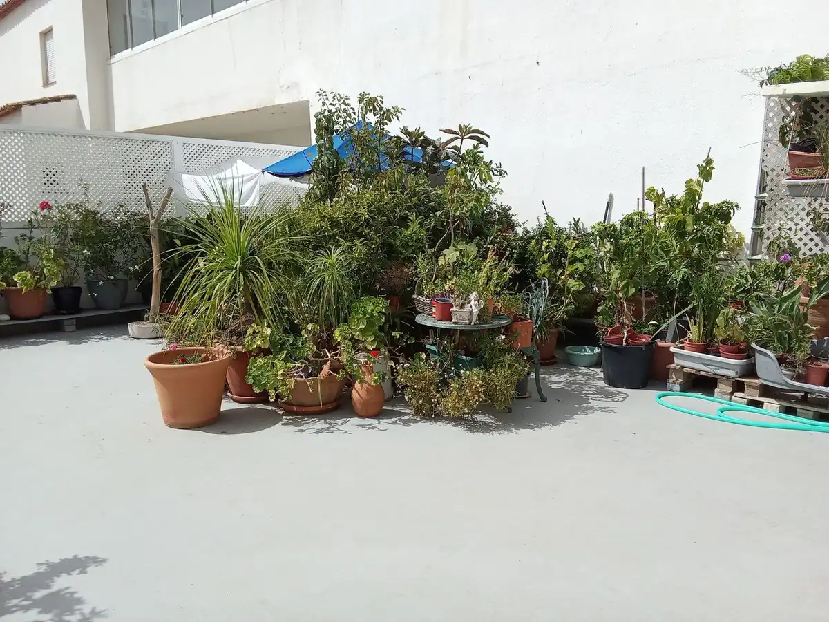 Apartment for sale in Estepona Pueblo, imagen 12
