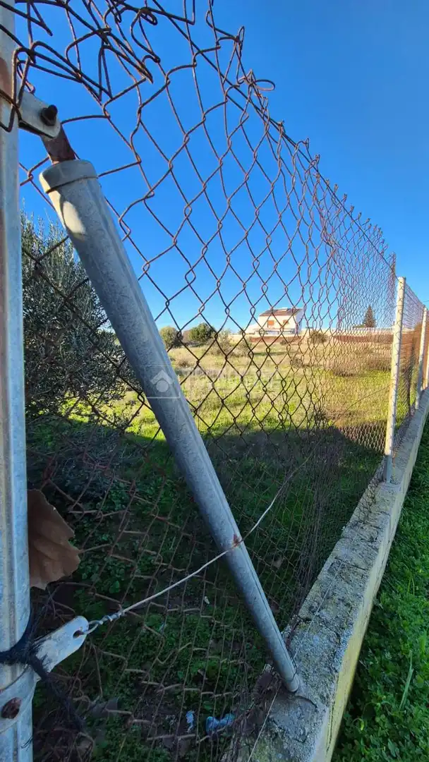 Rural land for sale in Conil, imagen 18