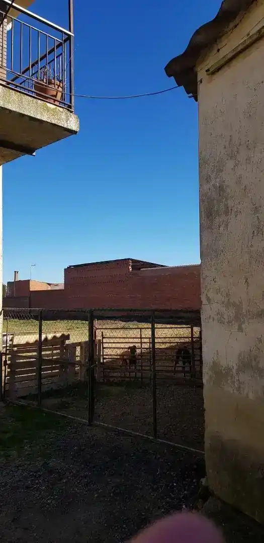 Vista exterior de Finca rústica en venda en Castrogonzalo amb Traster, Moblat i Rentadora