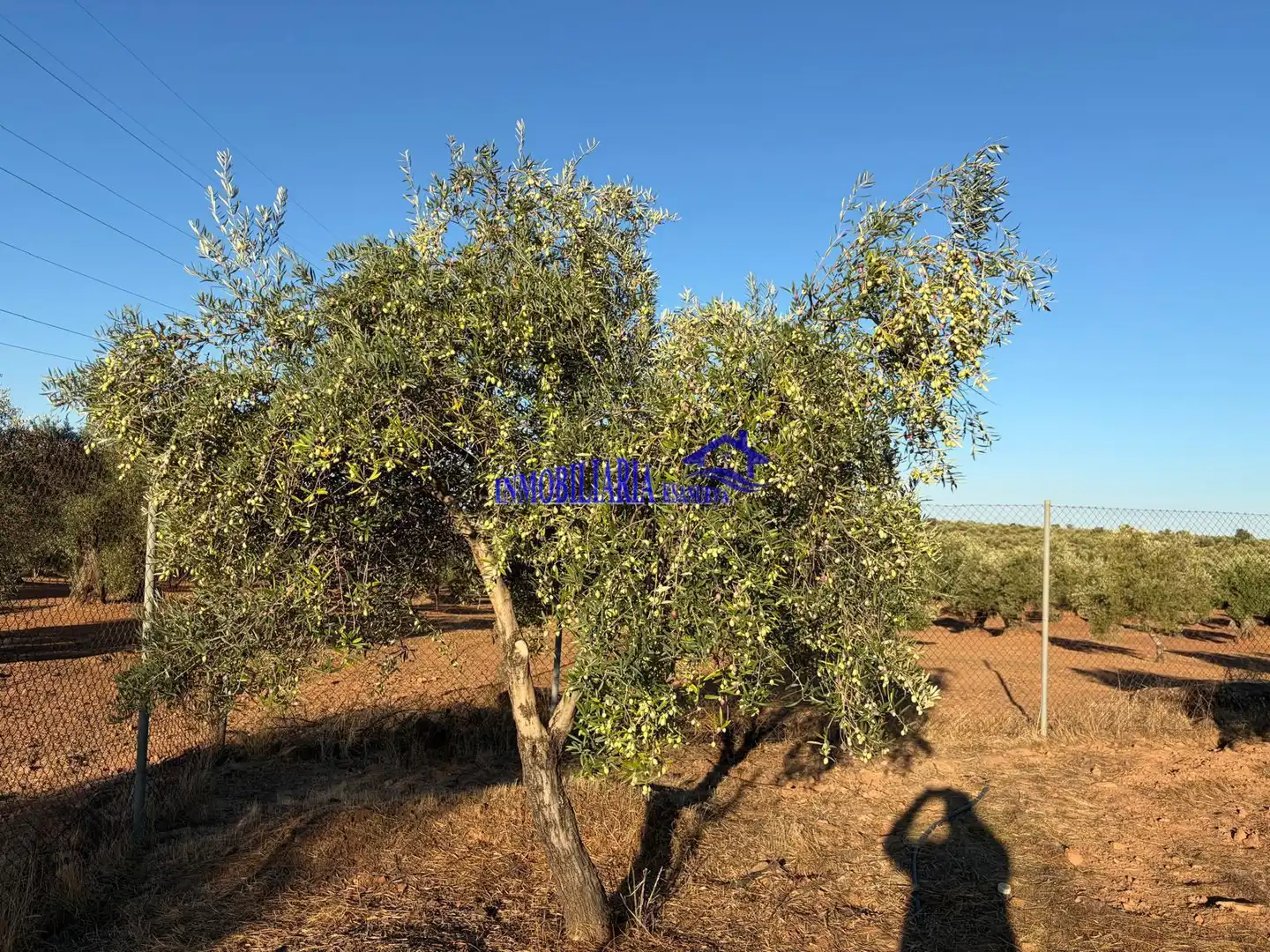 Finca rústica en venta en Villa del Río, Córdoba