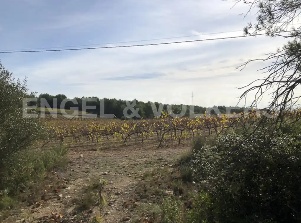 Terreny residencial en venda a Avinyonet del Penedès, imagen 33