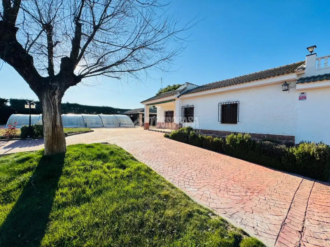 Vista exterior de Casa o xalet en venda en Mora amb Calefacció, Jardí privat i Piscina