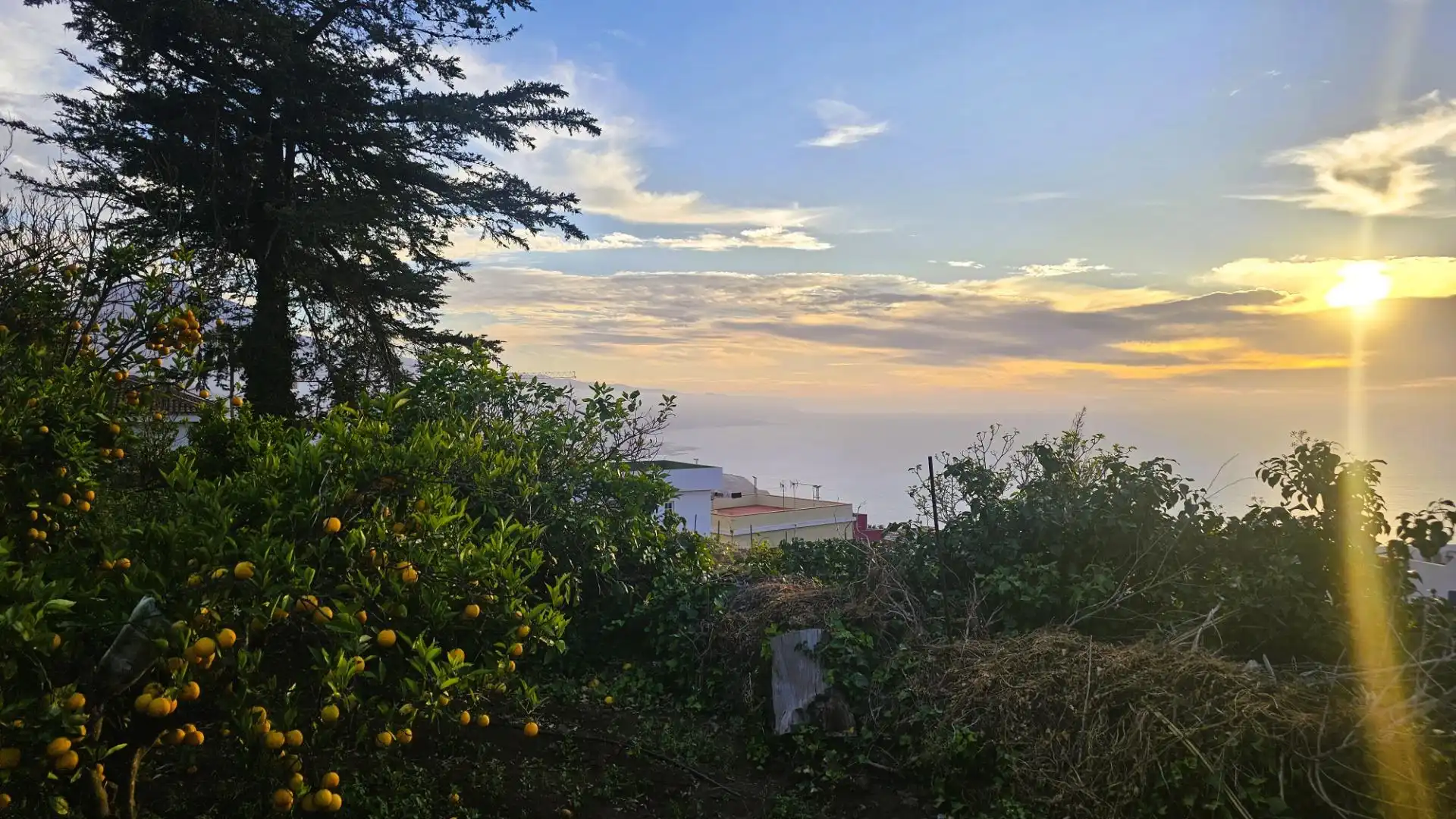 Exterior view of Houses for sale in La Matanza de Acentejo  with Heating, Private garden and Terrace