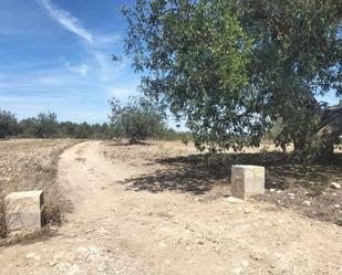 Terreny en venda en Navarrés