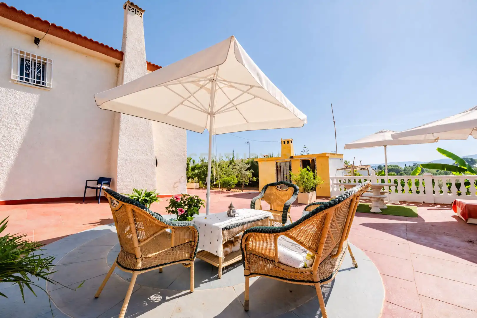 Maison à vendre à Carrer de Mart, Monte Rosado, Spain, imagen 8