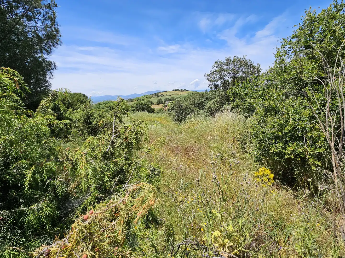 Residential for sale in Uceda
