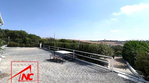 Foto 5 de Finca rústica en venta en Lebrija, Sevilla