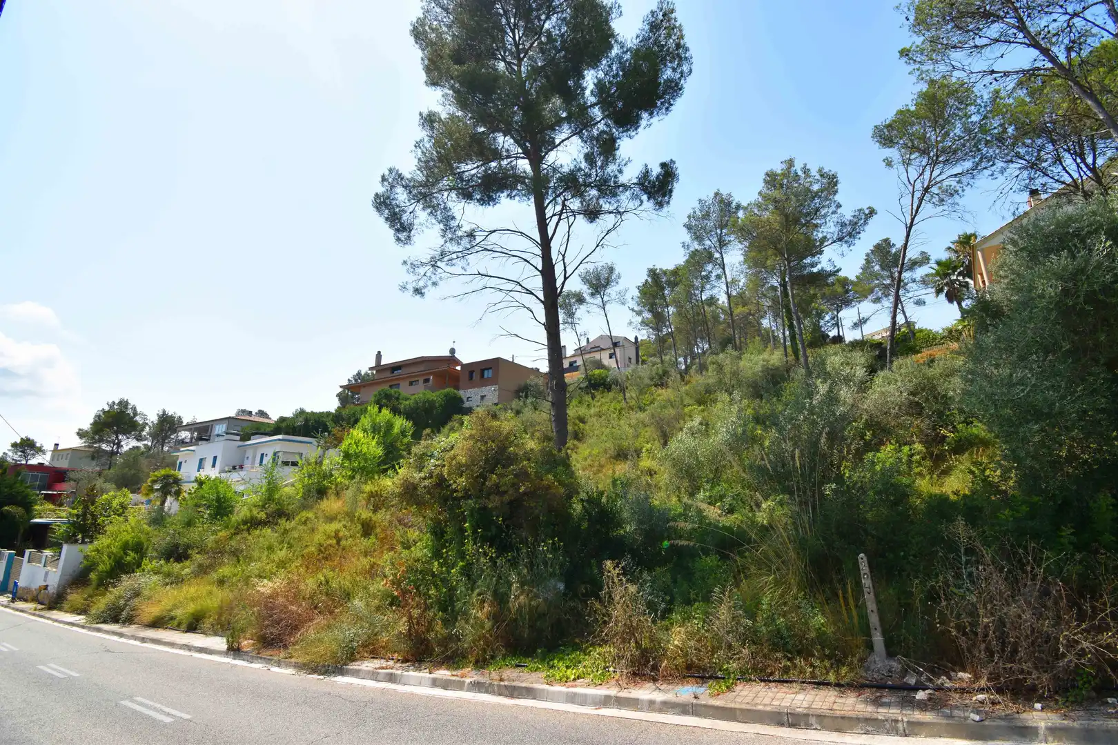Terrain rustique à vendre à Calle Os Blanc, imagen 3