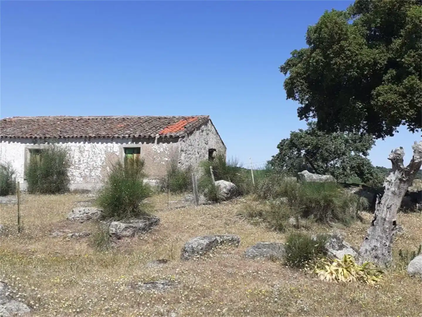 Terreno en venta en Valencia de Alcántara