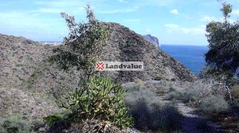 Foto 4 de Residencial en venda a Urbanización Playa de Arroz II, Los Collados - Los Geraneos, Murcia