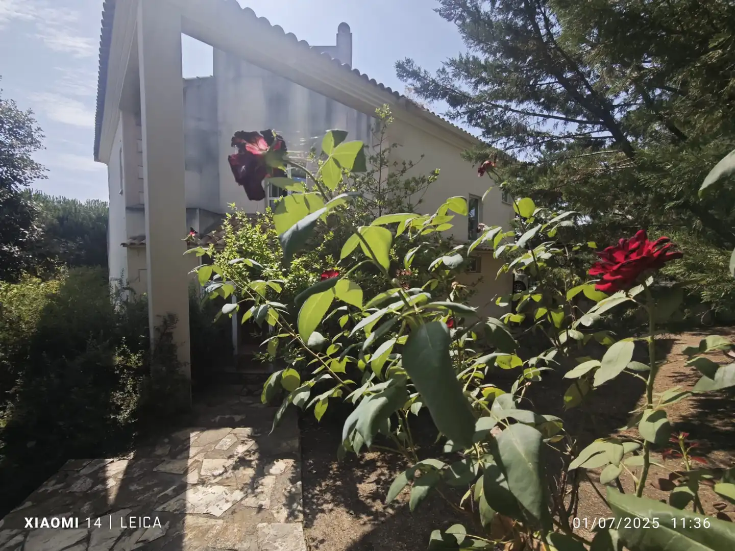 Haus oder Chalet zum Verkauf in Calle Don Felipe de África, Pino Alto - Navarredonda