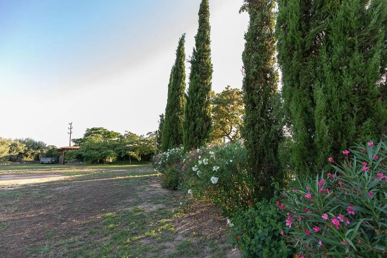 Maison rustique à vendre à Riudoms, imagen 38