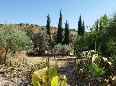 Xalet amb jardí en venda a El Castillo de las Guardas