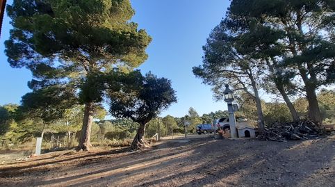 Chalet  en Vinaròs con parcela de 2000 m2 vallado, imatge 3