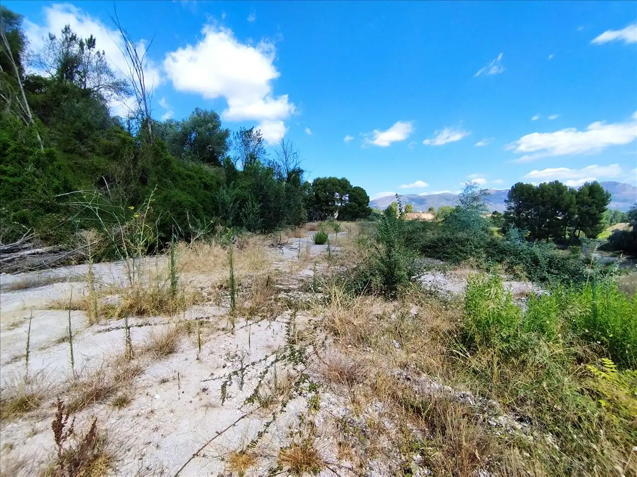 Terreny residencial en venda a Alcudia-Industr, 206, imagen 2