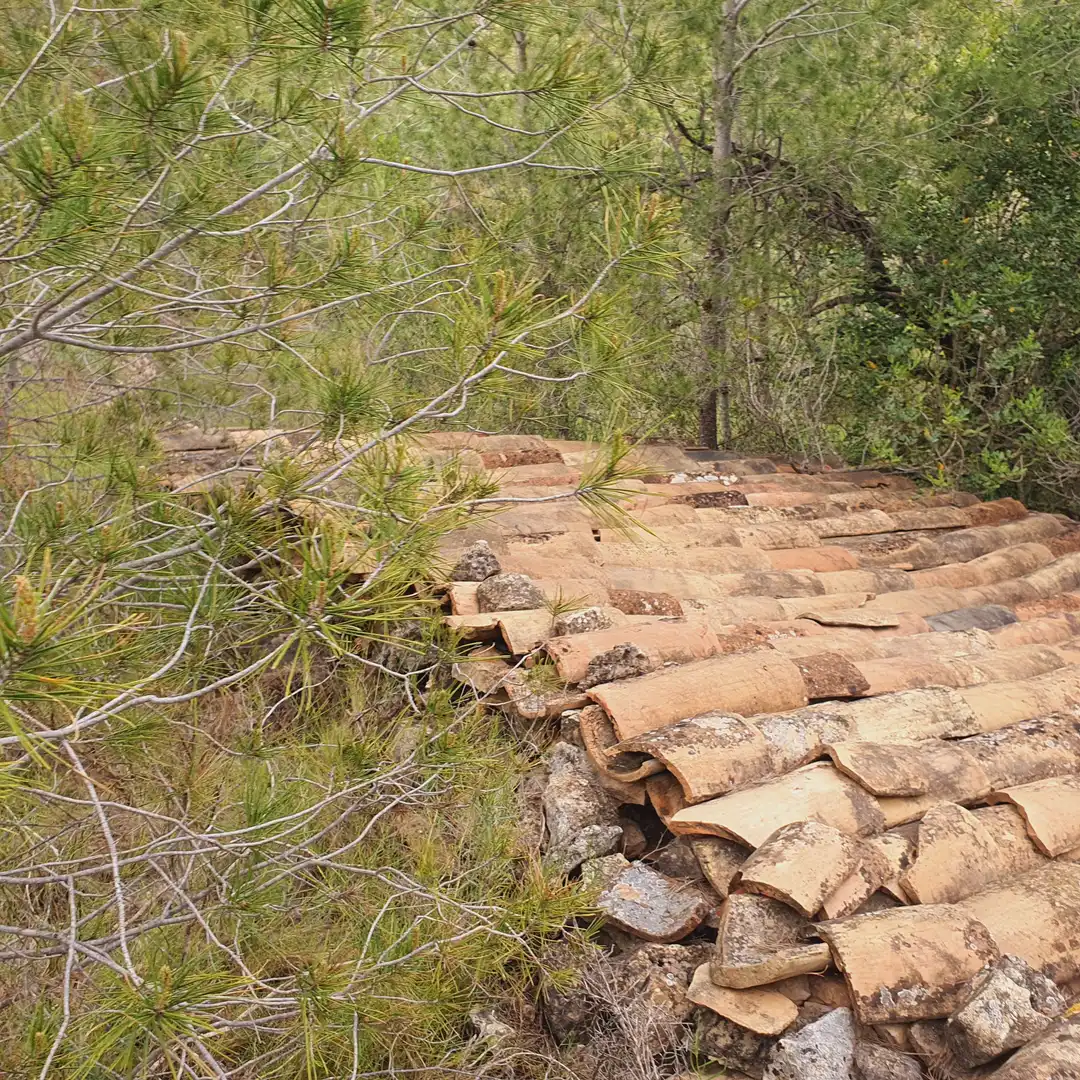 Terrain rustique à vendre à Benifallet, imagen 33