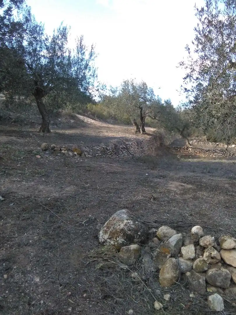 Country homes for sale in El Pinell de Brai