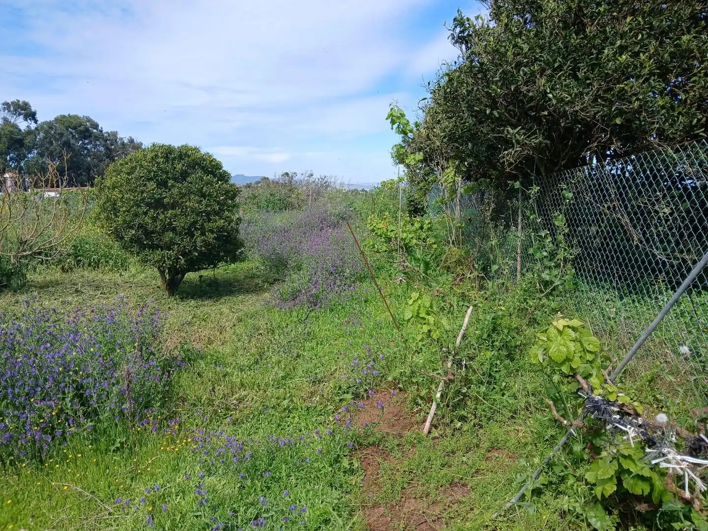 Finca rústica en venta en El Rosario con Jardín privado, Terraza y Alarma
