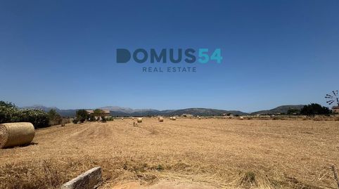 Finca rústica NO edificable con caseta agrícola en Sa Pobla, immagine 4