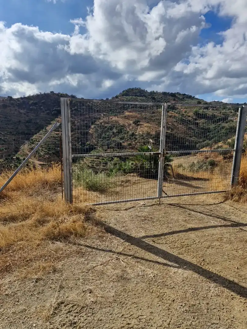 Terreny rústic en venda a 29100 Coín, Málaga, Spain
