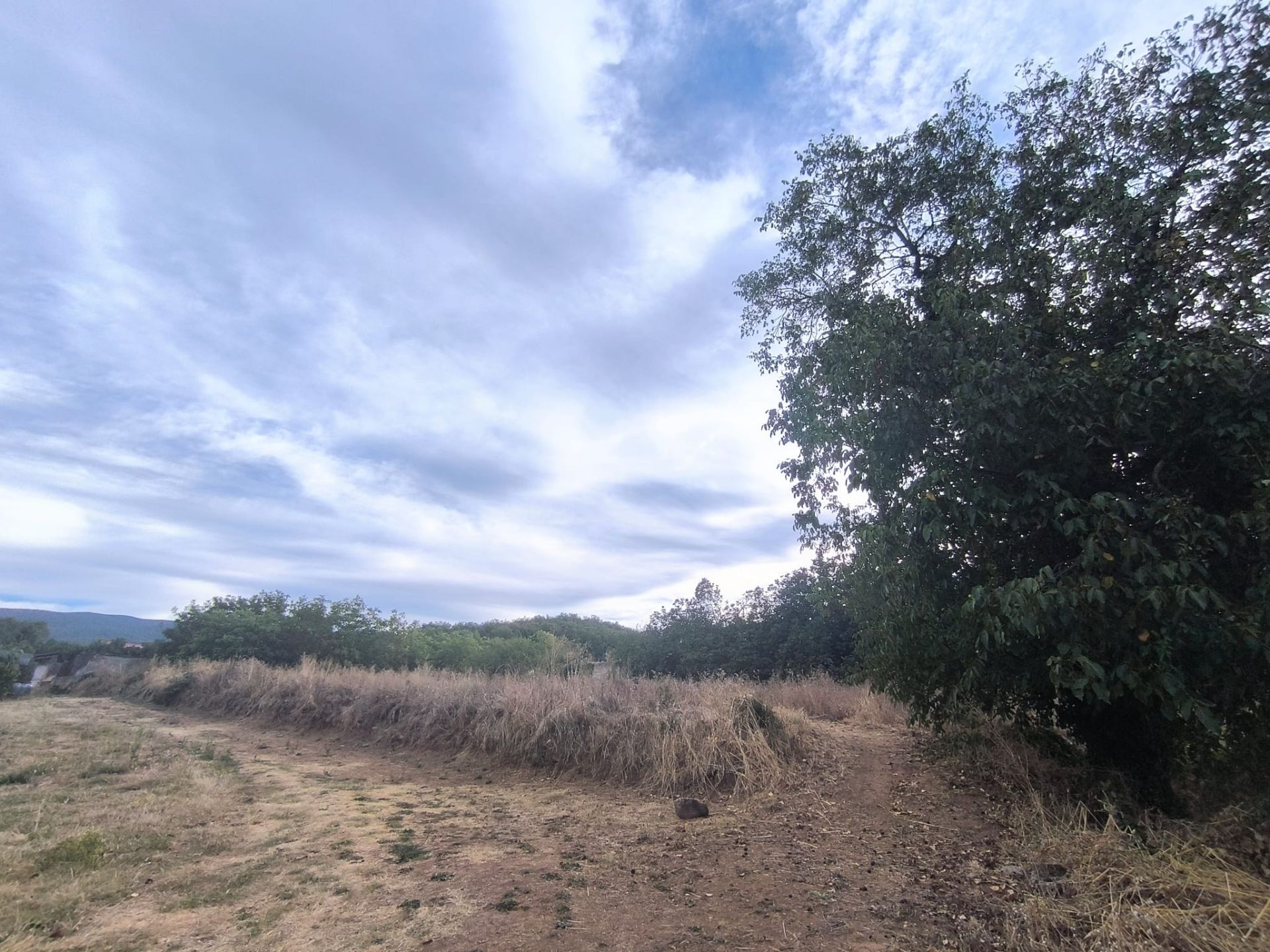 Land for sale in Hornos de Moncalvillo