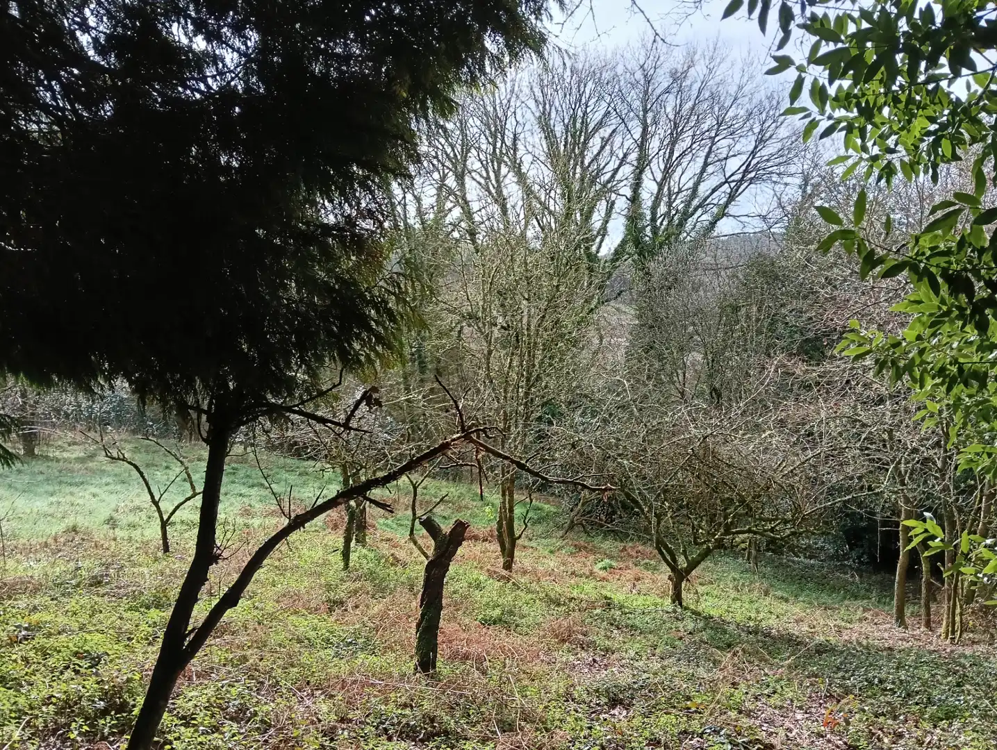 Adossat amb jardí en venda a Foro 55, imagen 53