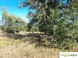 Terreno en venta en La Masó