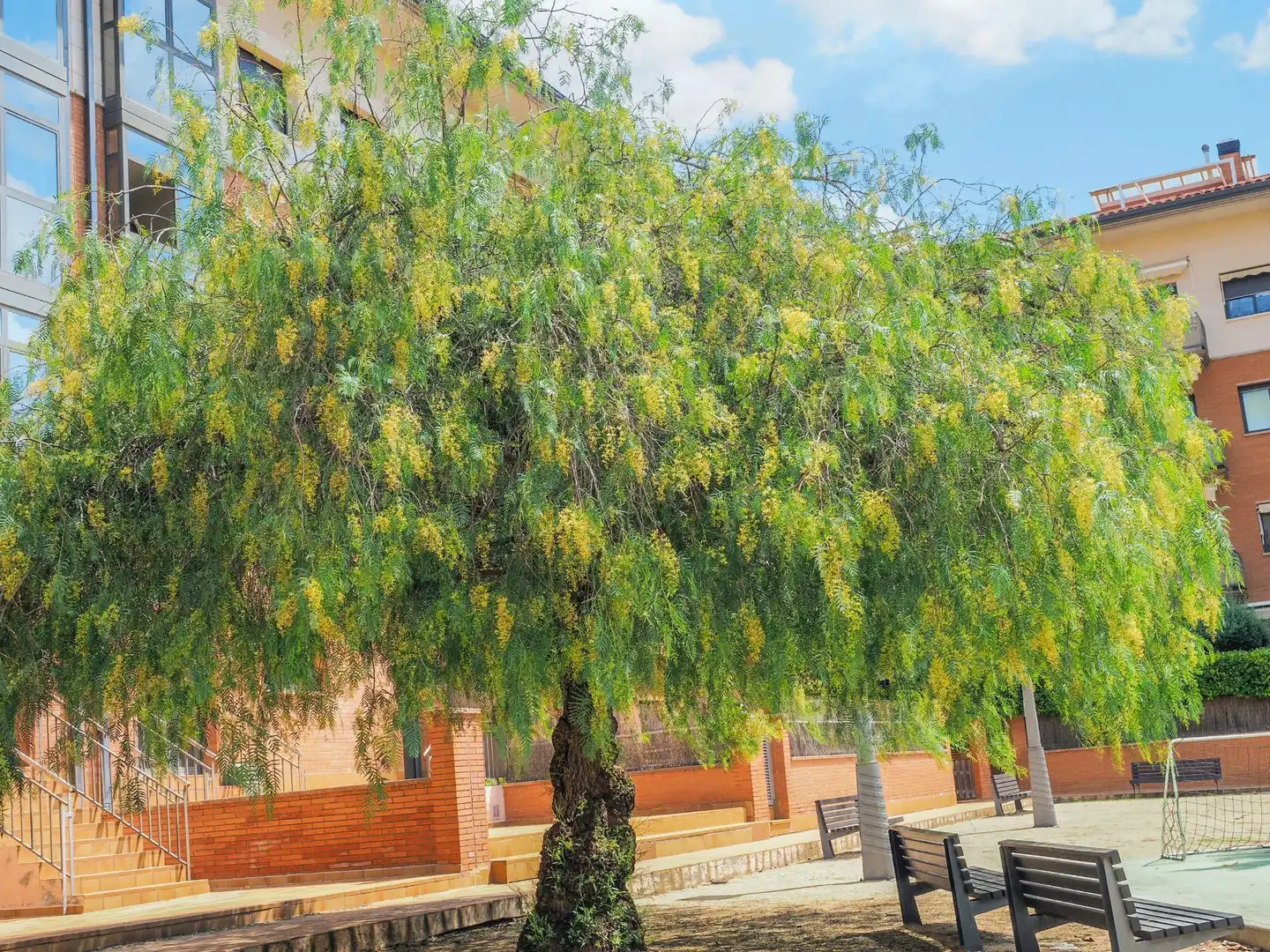 Jardín de Piso en venta en Cardedeu con Aire acondicionado, Calefacción y Jardín privado