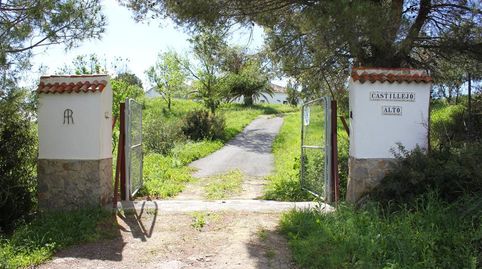 Finca Rúst. en venta en Algodonales, 4 dormitorios., imatge 4