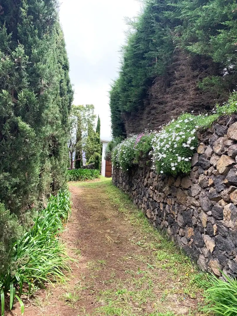 Villa avec jardin à vendre à La Perdoma - San Antonio - Benijos, imagen 16