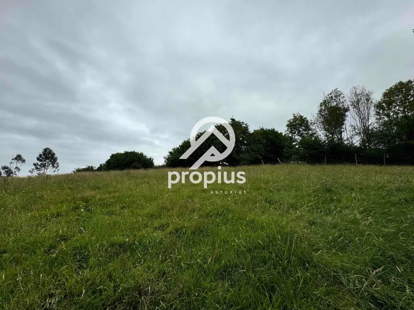 Rural land for sale in Arenas, imagen 12