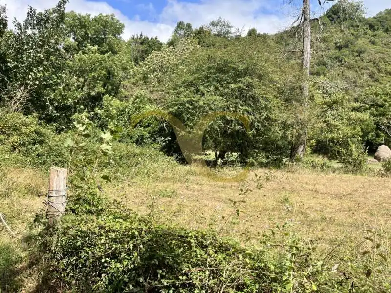 Residencial en venta en Cangas de Onís