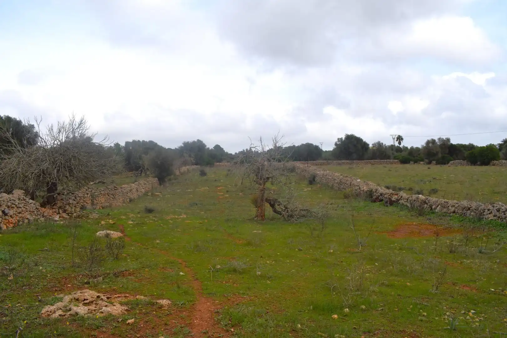Wohnbaugrundstück zum Verkauf in Santa Margalida Poble, imagen 2