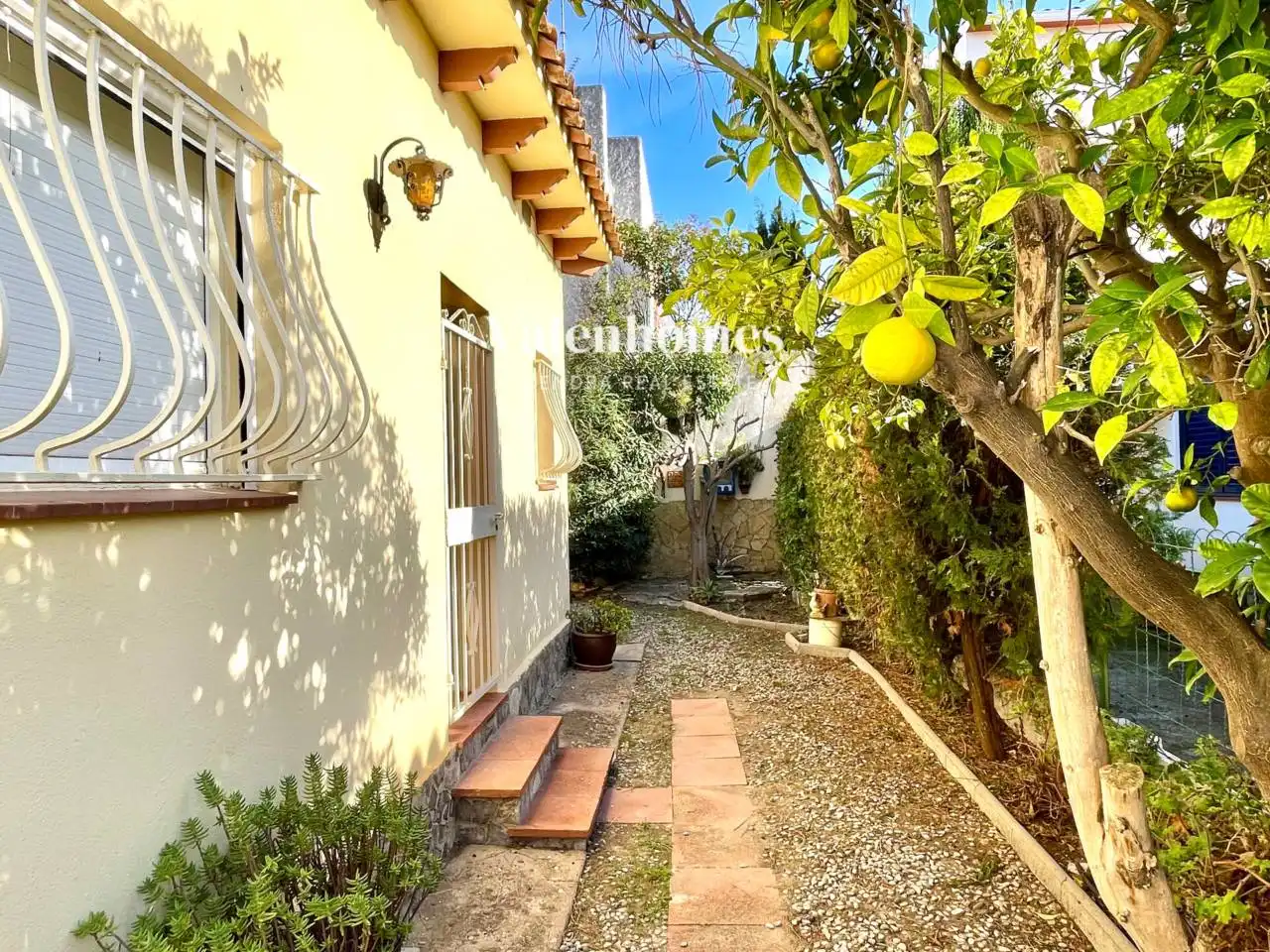 Houses for sale in Els Griells