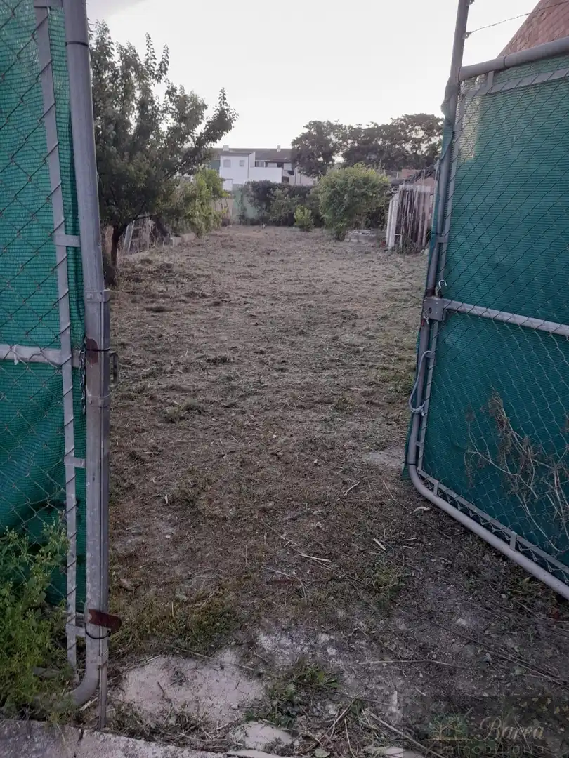 Casa rustica in vendita a Rute, imagen 6