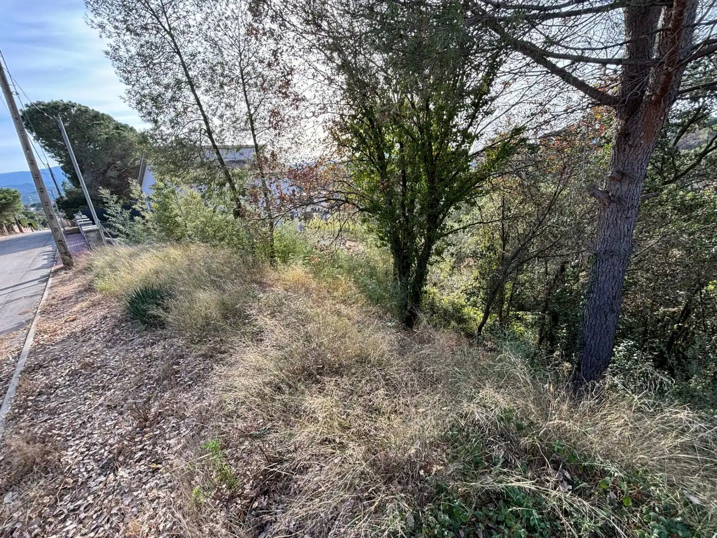 Terreno residencial en venta en Riells i Viabrea, imagen 6