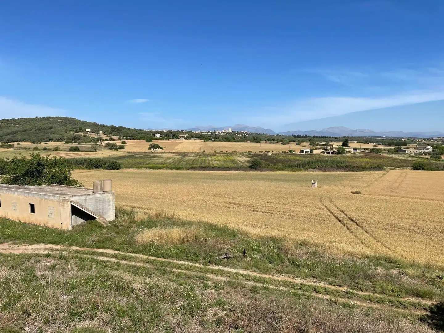Finca rústica en venta en Ariany con Jardín privado