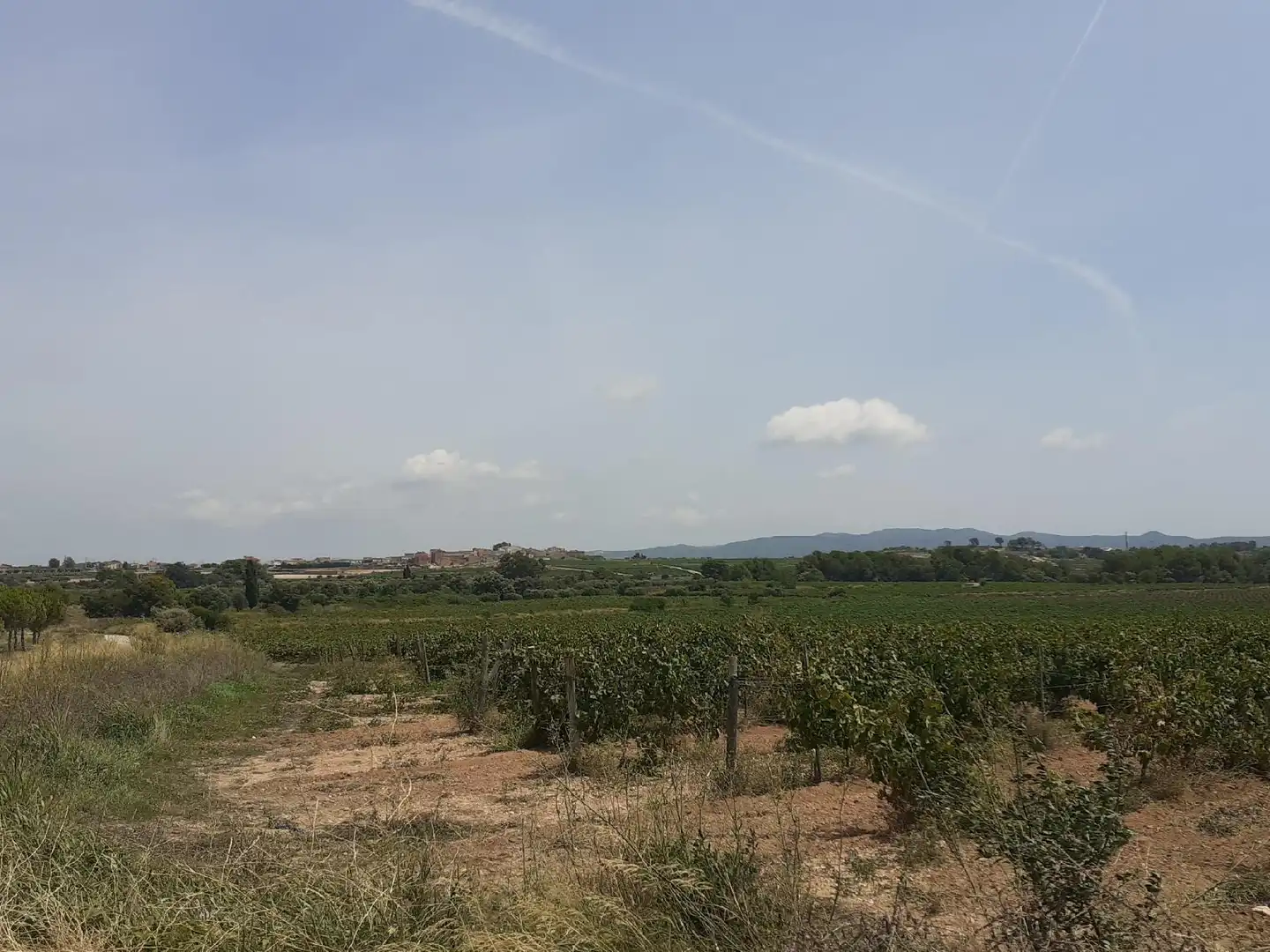 Casa o xalet en venda a Sant Jaume dels Domenys