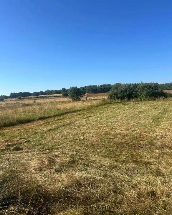 Terreni e lotti in vendita a Almanza, imagen 2