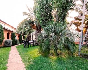 Jardí de Casa o xalet en venda en Alicante / Alacant amb Aire condicionat, Jardí privat i Terrassa