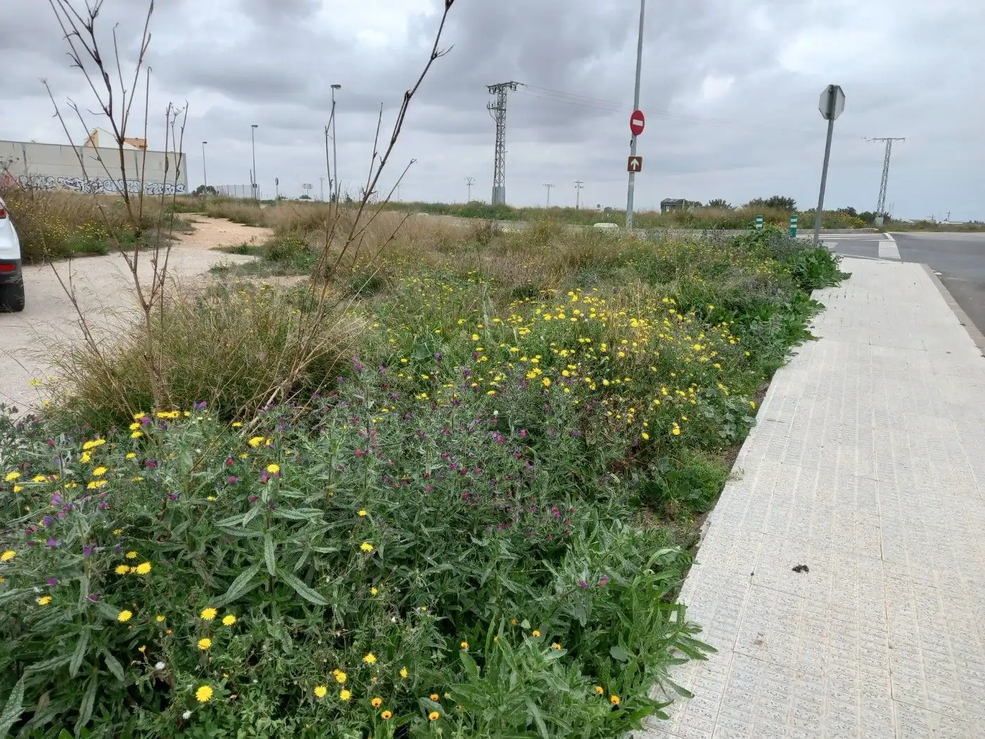 Wohnbaugrundstück zum Verkauf in Cartagena ciudad, imagen 13
