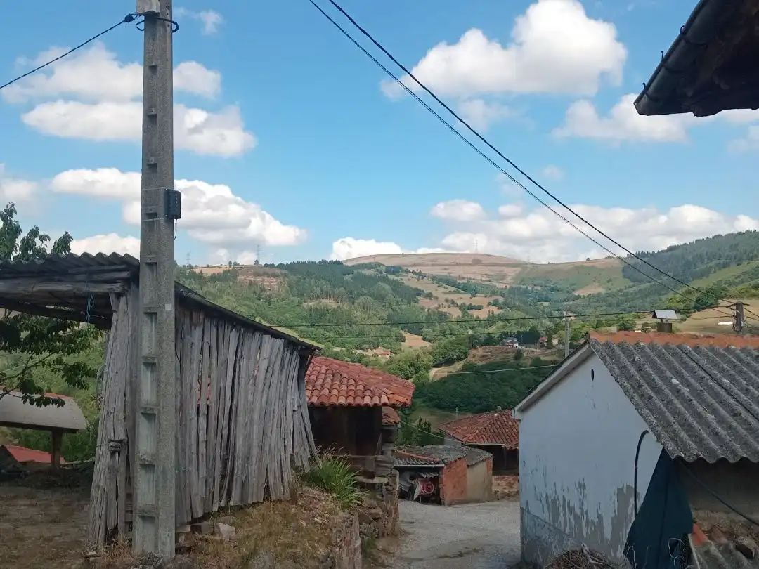 Vista exterior de Casa o xalet en venda en Tineo amb Terrassa