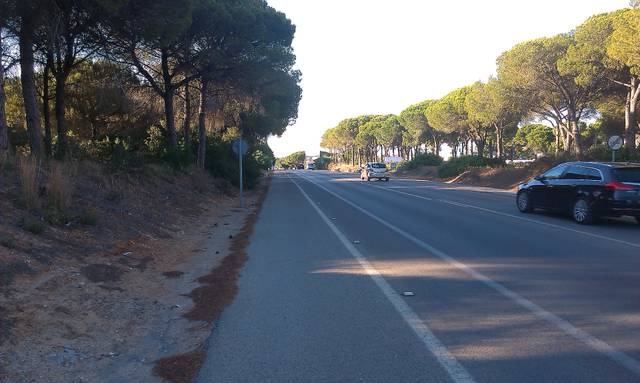 Terreno industrial en Alquiler en Avenida del Mueble en Los Franceses – La Vega